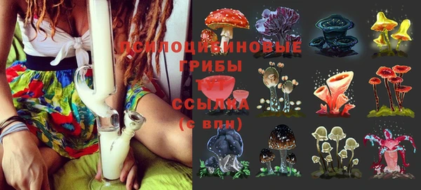 стаф Билибино