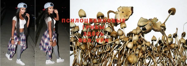 ALPHA-PVP Бикин