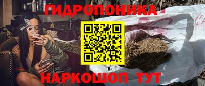 хмурый Гусев