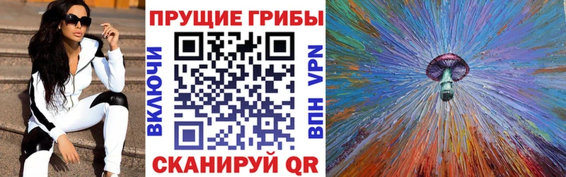 Галлюциногенные грибы Psilocybine cubensis Каменка