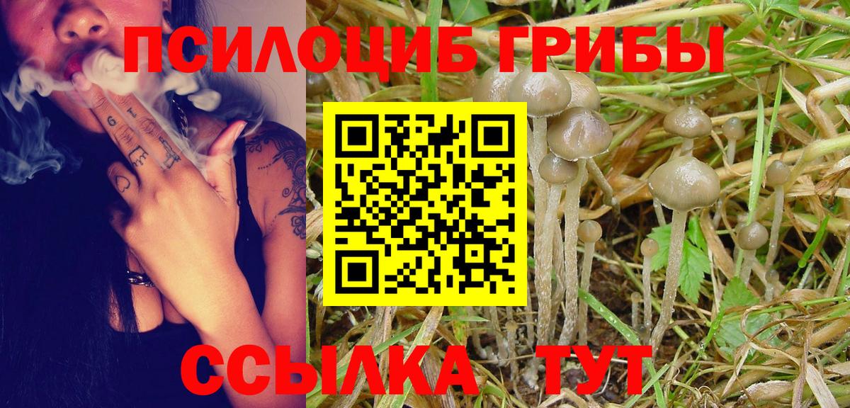 Галлюциногенные грибы MAGIC MUSHROOMS  Псилоцибиновые грибы Magic Shrooms  наркота  Вход с VPN  Каменка 